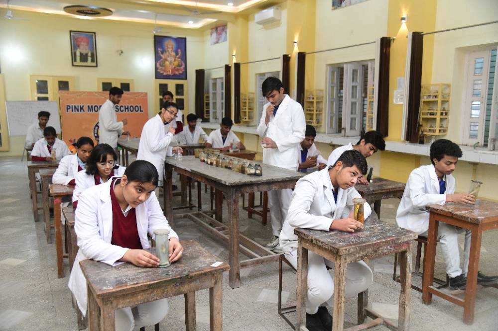 Pink Model School students